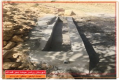 عکس‌های مرتع