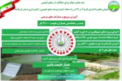 اینفوگرافیک