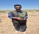 مراسم روز جهانی مقابله با بیابان‌زایی در روستای فتح‌آباد بویین‌زهرا برگزار شد.