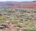 صعود گروه کوهنوردی همیاران طبیعت اداره کل منابع طبیعی و آبخیزداری استان قزوین به بام استانهای سمنان و گلستان