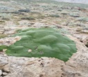 صعود گروه کوهنوردی همیاران طبیعت اداره کل منابع طبیعی و آبخیزداری استان قزوین به بام استانهای سمنان و گلستان