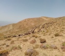 نظارت بر مراتع روستای یرک