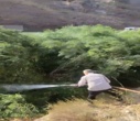 مهار آتش سوزی در جاده روستای الوندی