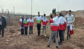 اجرای پویش درخت کاری "درسایه مادر" در شهرستان تاکستان