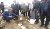 مراسم درختکاری در پارک جنگلی دانش 