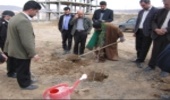 مراسم نهالکاری جاده آبگرم به آوج با حضور مسئولان شهرستان