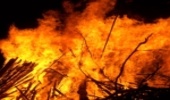 آتش جان8/5 هکتار از اراضی ملی را گرفت