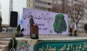 مراسم روز درختکاری در استان قزوین برگزار شد