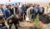 مراسم درختکاری در سایت انتقال پسماند شهر صنعتی البرز انجام شد