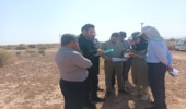 بازدید سرپرست مرکز جنگلهای خارج از شمال و معاون دفتر امور بیابان سازمان منابع طبیعی از عرصههای بیابانی و نهالستانهای استان قزوین