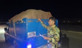 ایست و بازرسی شبانه مبارزه با قاچاق چوب آلات در شهرستان آبیک