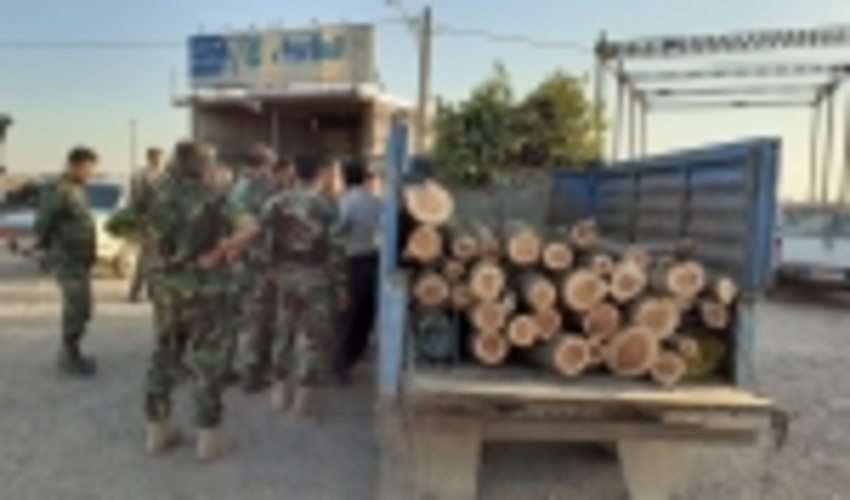 کشف و ضبط 150تن چوب قاچاق در محورهای مواصلاتی استان 