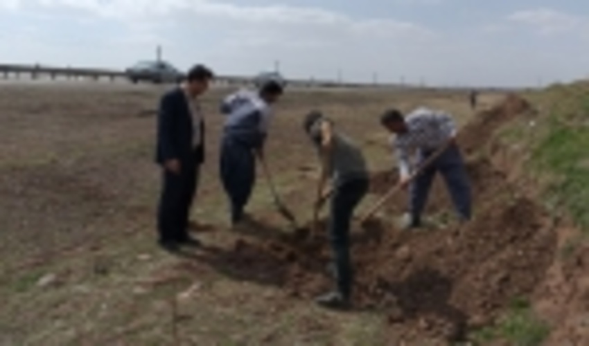 ایجاد سه کیلومتر فضای سبز در حاشیه جاده قزوین-رشت