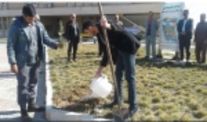 مراسم غرس نهال در دانشگاه پیام نور بوئین زهرا