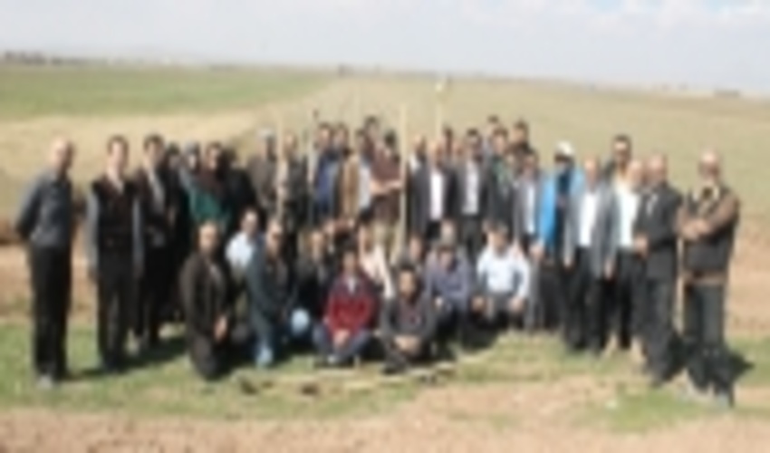 درختکاری 15کیلومتر از مسیر اتوبان تاکستان 