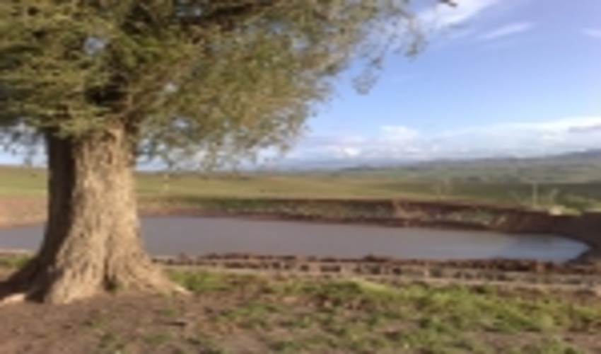 بازدید معاون عمرانی استاندار از پروژه آبخیز داری وجنگل تاغ فتح آباد بویئن زهرا