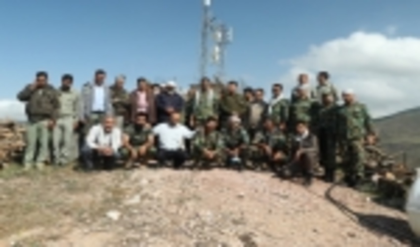 هجوم آفت پروانه دم قهوه ای به جنگلهای طارم سفلی