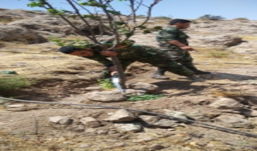 آزاد سازی منابع ملی در بخش طارم سفلی