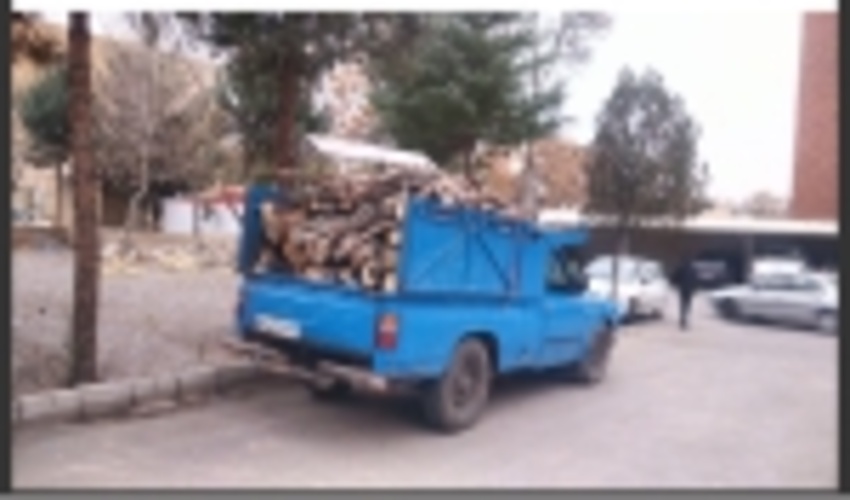 کشف چوب قاجاق در شهرستان قزوین
