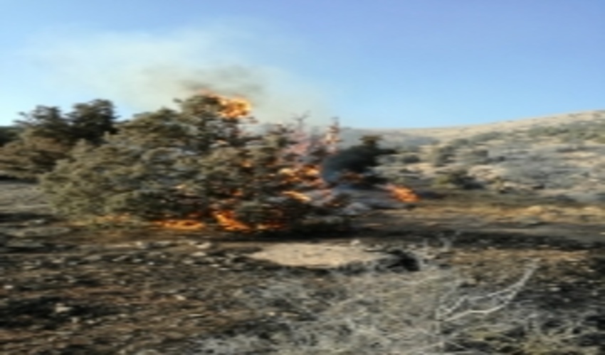 حریق در اراضی بخش الموت غربی مهار شد