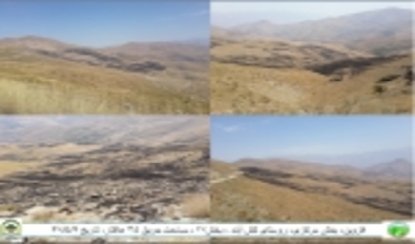 35هکتار از اراضی ملی کش آباد طعمه حریق شد