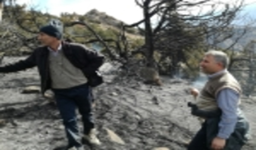 2 هکتار از اراضی جنگلی الموت غربی دچار حریق شد