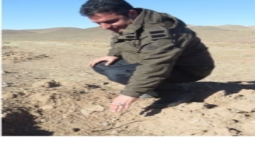 اراضی تحت بادامکاری حاجی آباد در وضعیت مطلوبی هستند