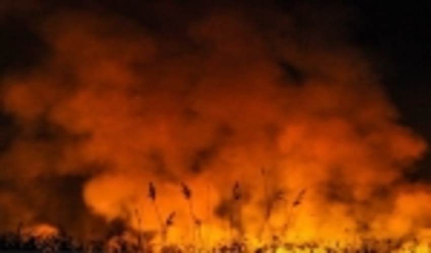  2 هکتار از اراضی ملی استان طعمه حریق شد