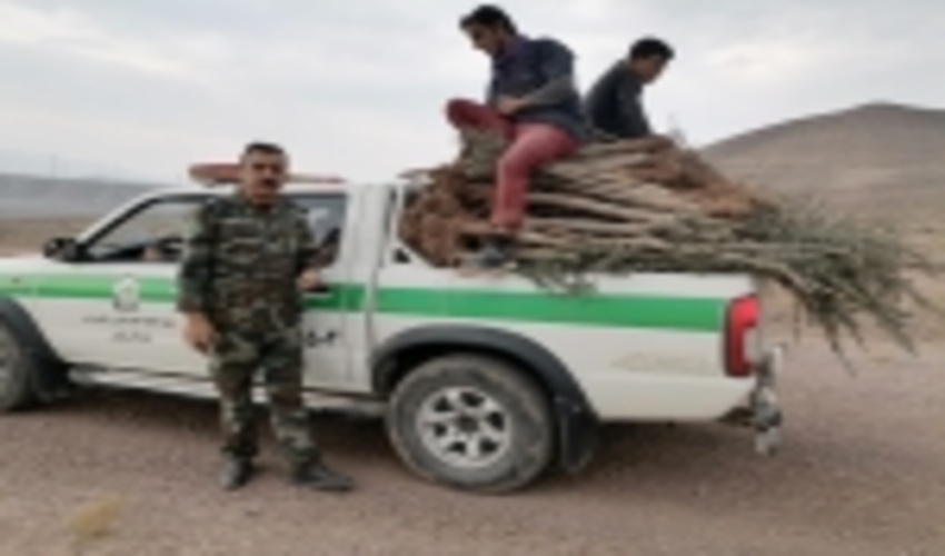 رفع تصرف اراضی ملی در طارم سفلی