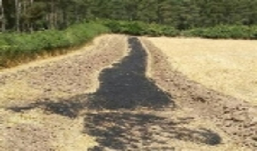 آمادگی تمام عیار استان جهت پیشگیری و مقابله با حریق در اراضی ملی