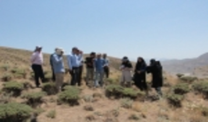 بازدید دانشجویان مقطع دکتری آبخیزداری از پروژه های منابع طبیعی قزوین