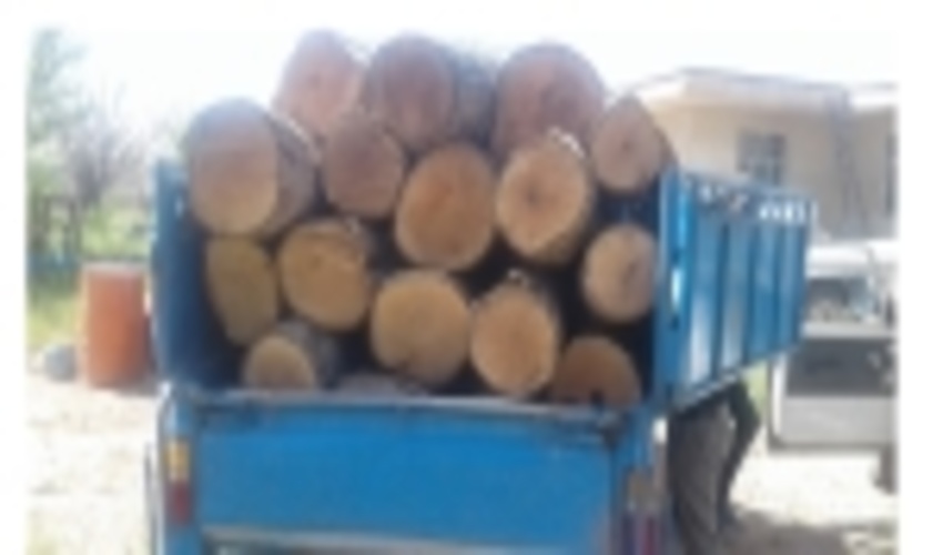 کشف چوب قاچاق در شهرستان بویین زهرا