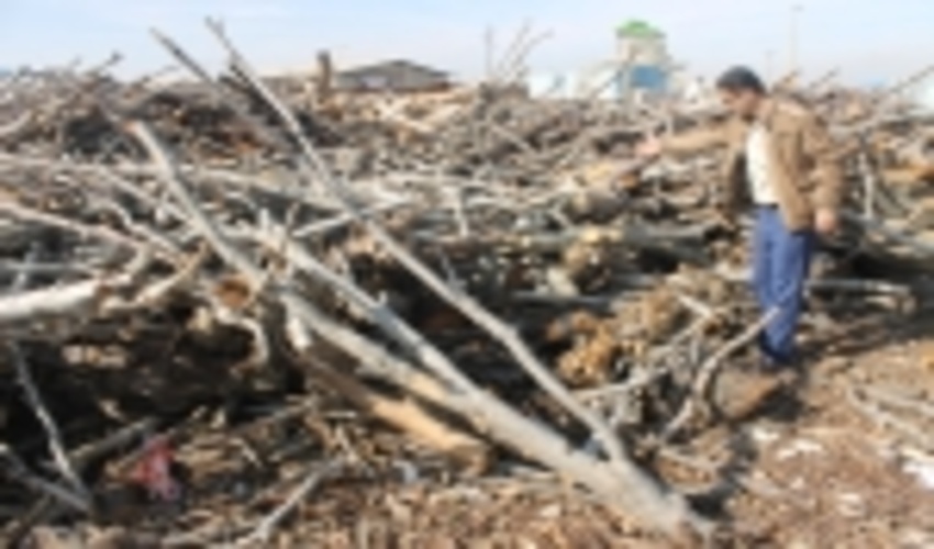 برخورد با قاچاق چوب با جدیت 