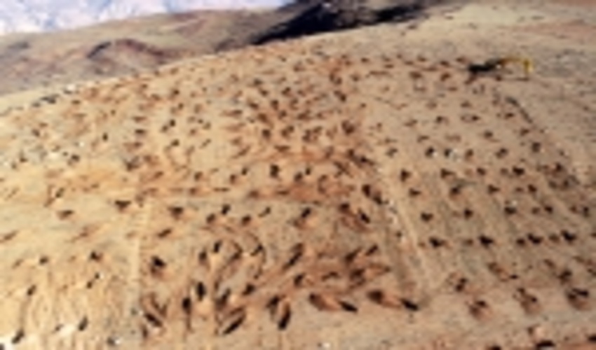 پیشرفت 70 درصد پروژه های صندوق ملی توسعه در حوزه گشنه رود