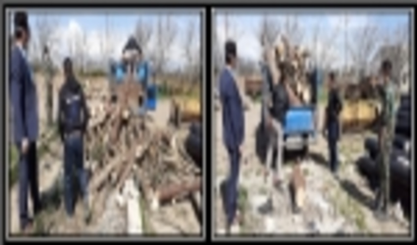 کشف چوب قاچاق در تعطیلات نوروز