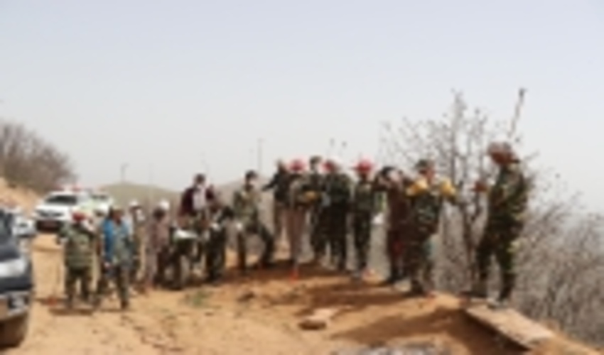 مبارزه با پروانه دم قهوهای در جنگلهای طارم