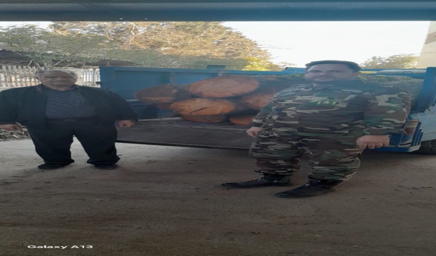 بازدید از چوب بریهای شهرستان قزوین