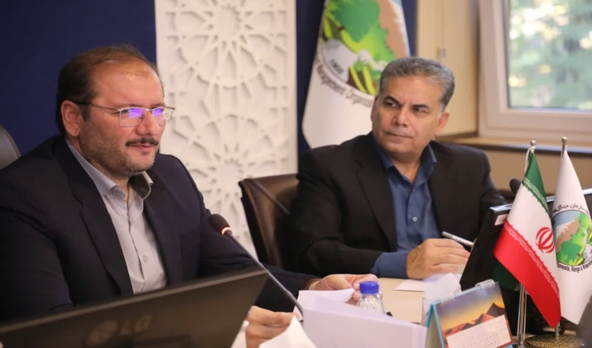 مزایده هفت دستگاه خودرو در اداره کل منابع طبیعی استان