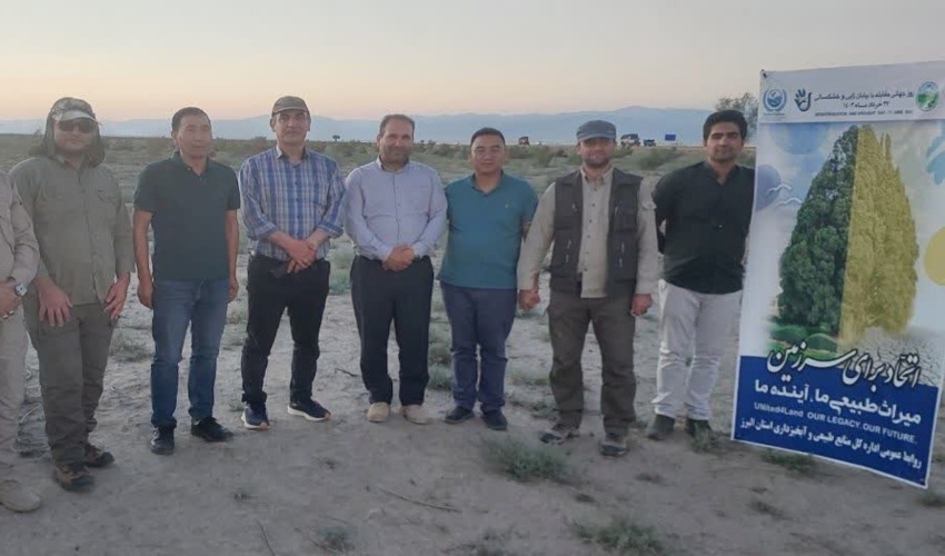۳۰ میلیون درخت امسال در طرح زراعت چوب کاشته شد
