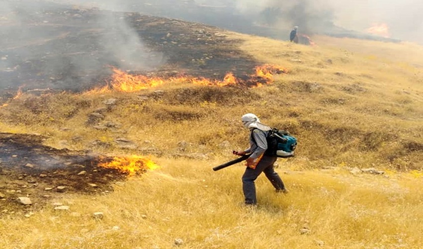 دین مبین اسلام درخت را نماد آبادانی و مظهر زندگی می داند