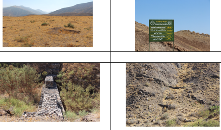 بازدید اعضای کمیته فنی از حوزه گشنه رود