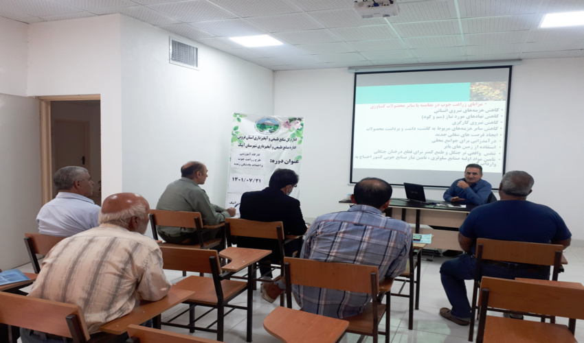 گارگاه آموزشی طرح زراعت چوب و احداث بادشکن  زنده در شهرستان آبیک برگزار شد .