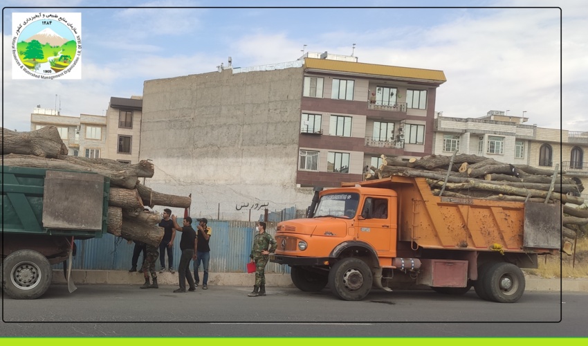 کشف و ضبط ۳۰۵ تن محموله چوب قاچاق تو سط یگان حفاظت منابع طبیعی شهرستان قزوین