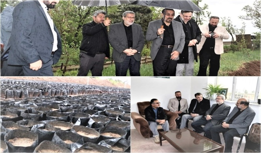بازدید رییس سازمان جهاد کشاورزی استان قزوین و نماینده مجلس  از نهالستان سبحان