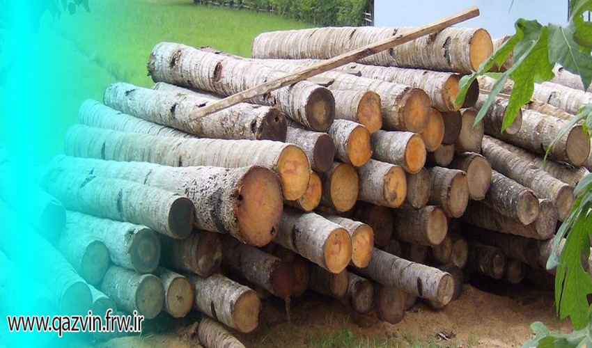 بازدید از دپو و کشف 3 تن قاچاق چوب در بوئین زهرا