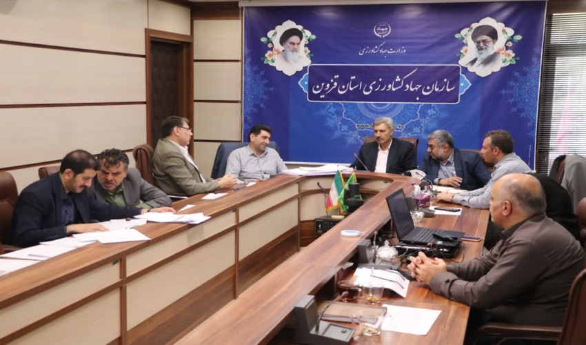 ۹ هزار و ۴۲۵ هکتار از اراضی استان قزوین رفع تداخل شد 