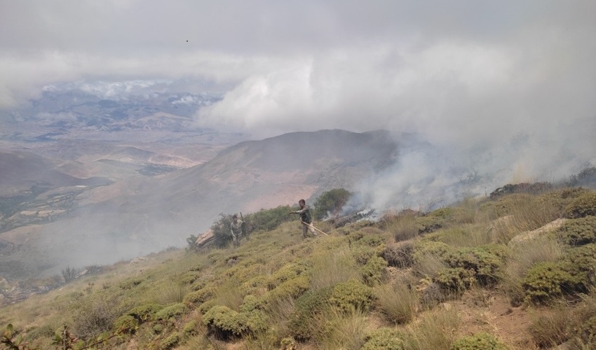مهارآتش در اراضی روستای گیله جاربخش طارم سفلی 