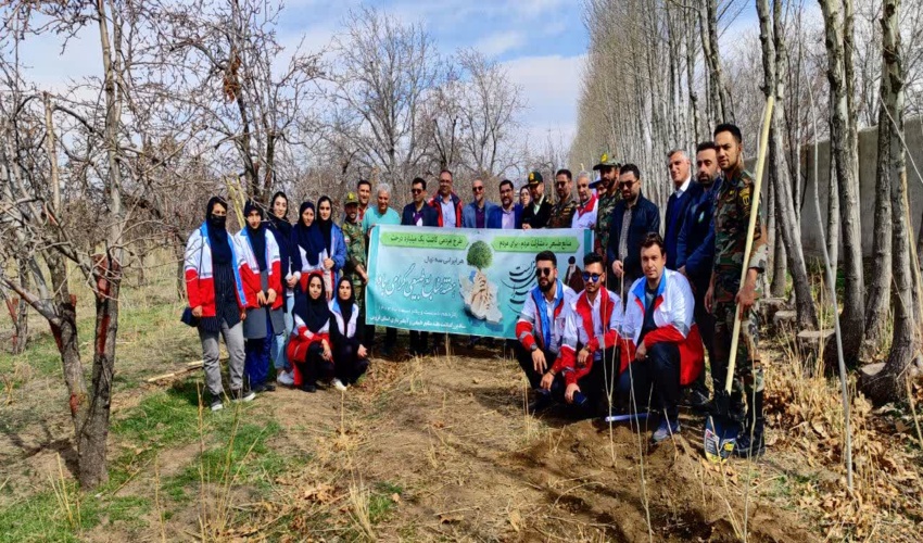 درخت به پایداری اکوسیستم محل زندگی ما کمک می کند