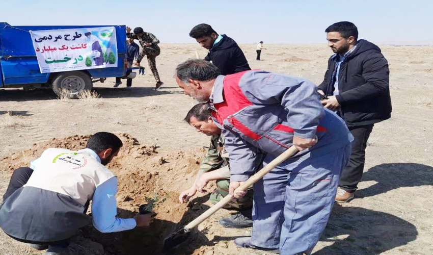 مشارکت بسیج سازندگی قزوین در کاشت ۵۰۴ هزار اصله نهال