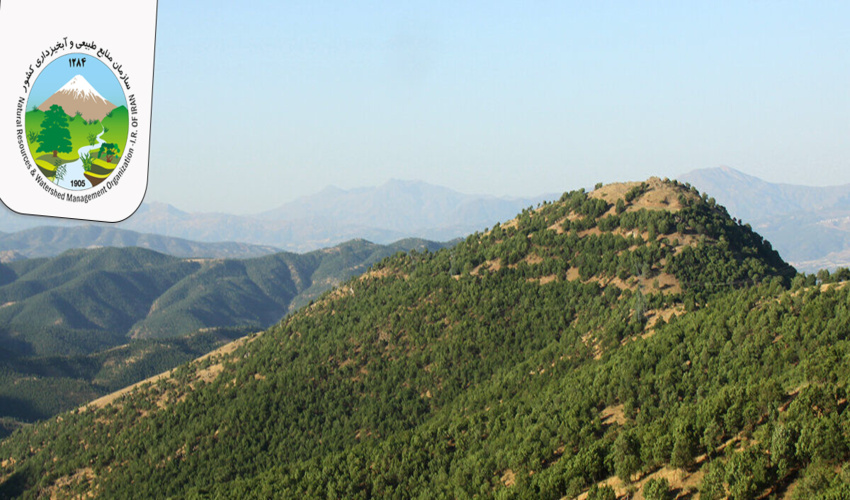 یک هزار و ۶۰۰ هکتار جنگل کاری در قزوین